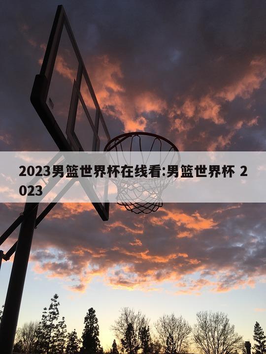 2023男籃世界杯在線看:男籃世界杯 2023