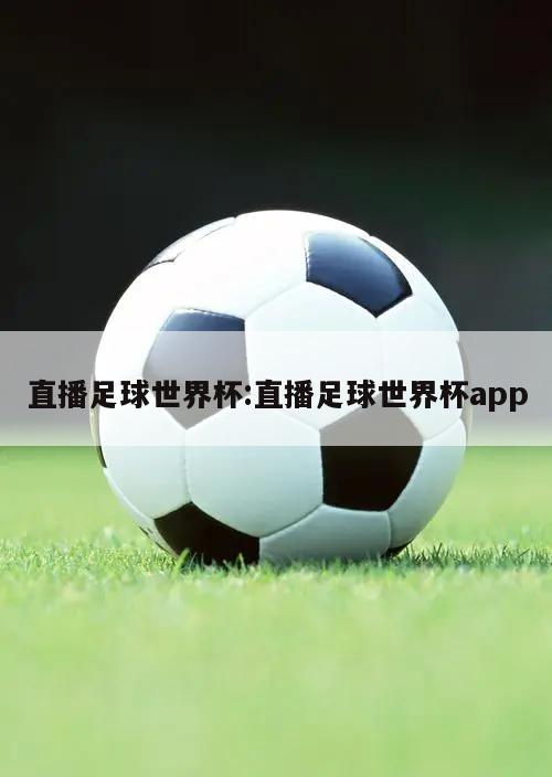 直播足球世界杯:直播足球世界杯app