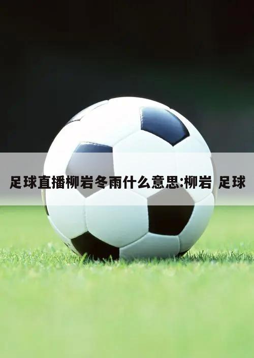 足球直播柳岩冬雨什么意思:柳岩 足球