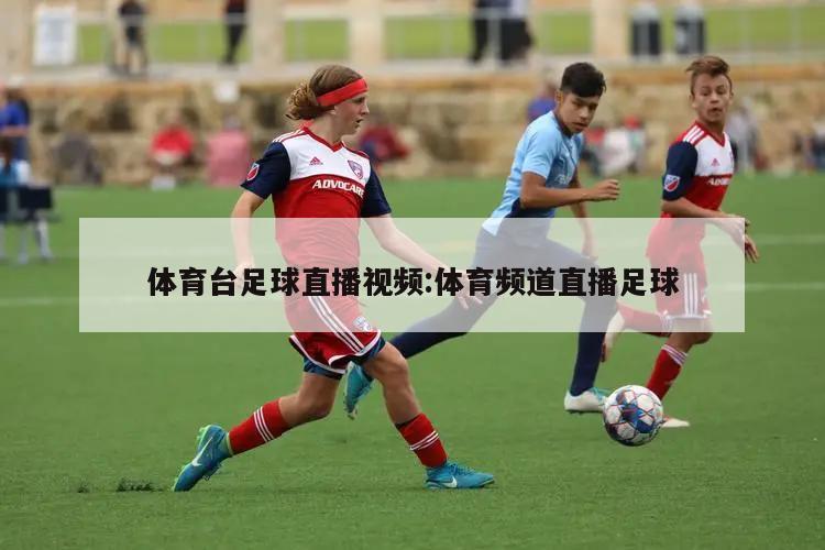体育台足球直播视频:体育频道直播足球